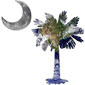 Earth Moon Palmetto T-Shirts and Gifts